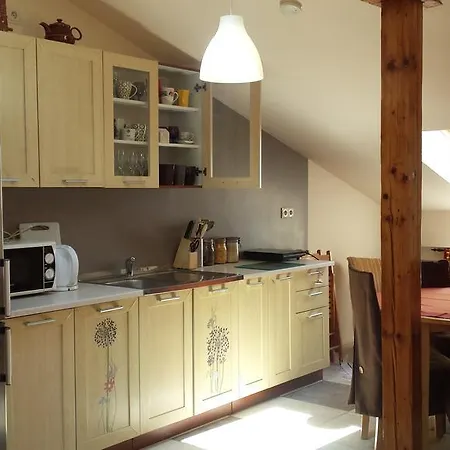 Apartment Fryderyk *