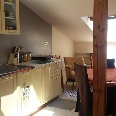 Apartment Fryderyk *